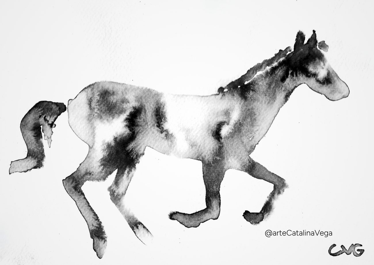 Cuadro caballo en tinta